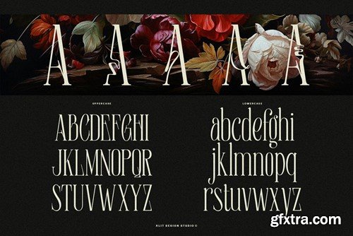 Euromunche Typeface LMHK953