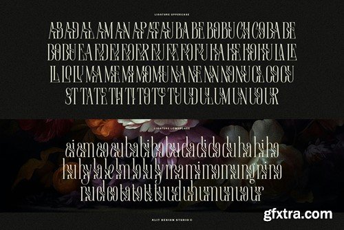 Euromunche Typeface LMHK953