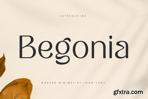 Begonia - Modern Minimalist Logo Font 6ZZ4U92