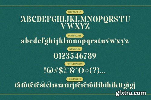 Agitan - Modern Luxury Serif NX66ZPP