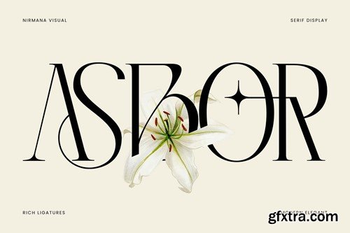 Asbor - Logo Font NPK4RPJ