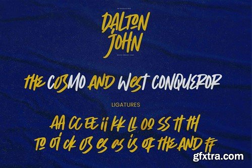 Dalton John - Quick Brush Font XRUBRBX