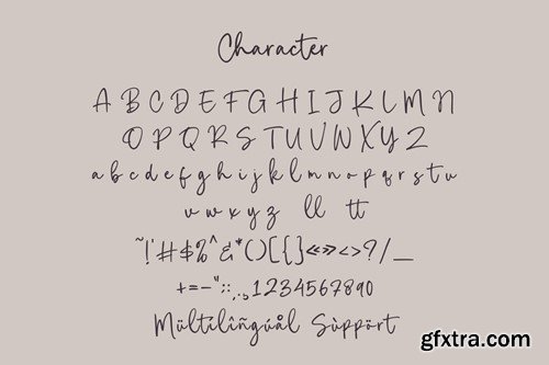 Ringchest - Casual Script Font 86TRF8F