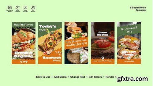 Videohive Healthy Instagram Stories 53394245