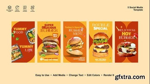 Videohive Burger Instagram Stories 53394638
