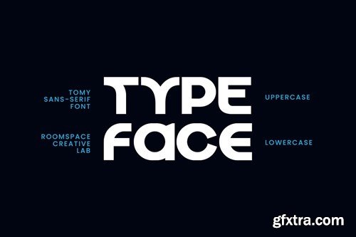 Tomy - Modern Minimal Font PE3VHE3