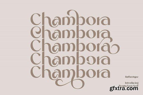 Chambora Beautiful Sans Serif DFLGGQQ