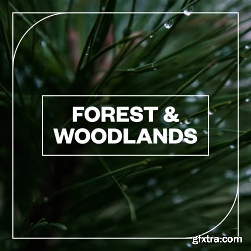 Blastwave FX Forest and Woodlands