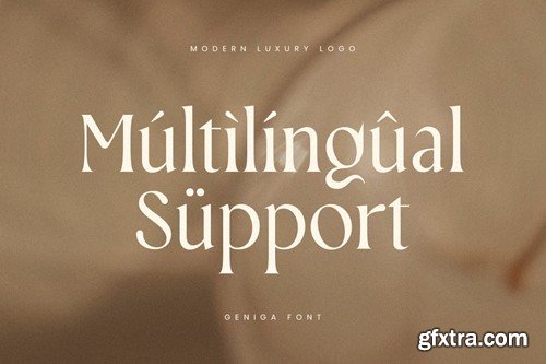 Geniga - Modern Luxury Logo Font YD84NJD