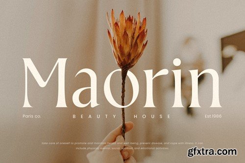 Geniga - Modern Luxury Logo Font YD84NJD