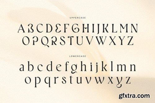 Geniga - Modern Luxury Logo Font YD84NJD