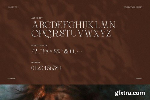 Faginta Modern Elegant Serif Font Typeface ZW2FJM2