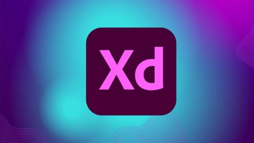 Udemy - Essentials User Experience Design Adobe XD UI UX Design