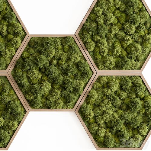 Hexagon Green Wall Panel - Set 79