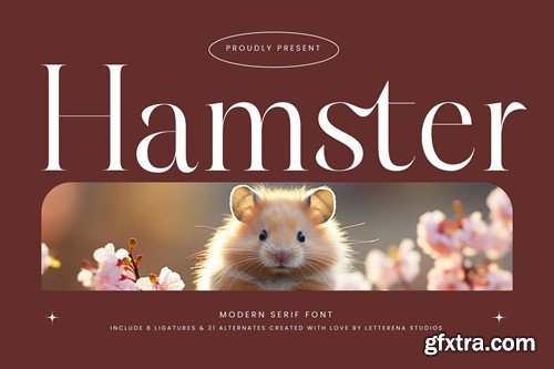 Hamster Modern Serif Font 24GPXQD