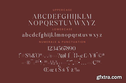 Hamster Modern Serif Font 24GPXQD