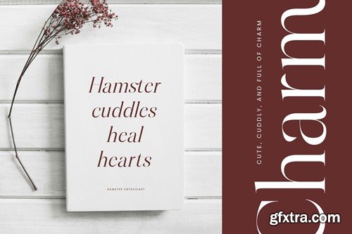 Hamster Modern Serif Font 24GPXQD