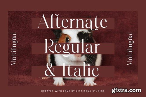 Hamster Modern Serif Font 24GPXQD