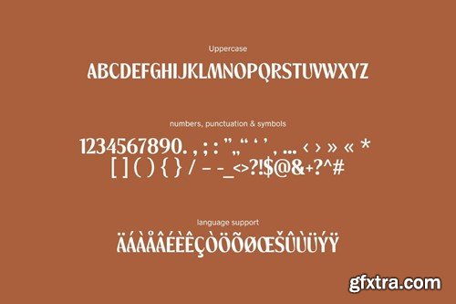 Desertfolk - Boho Aesthetic Display Font FD27EJQ