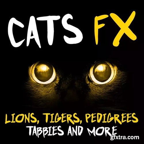 The Feline Effectors Cats FX Lions Tigers Pedigrees Tabbies & More