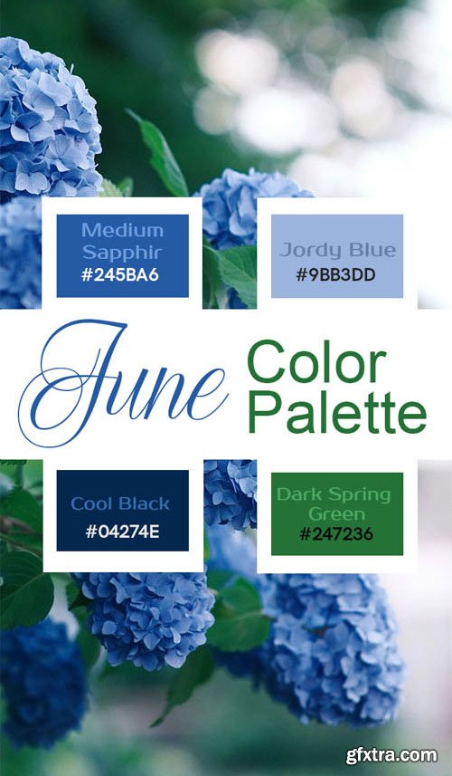 June Color Palette Swatches for Photoshop