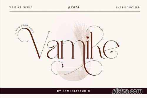 Vamike Serif Font HHE673S