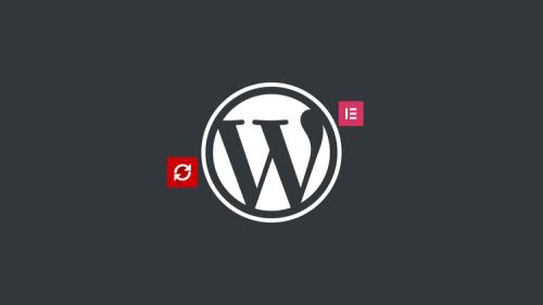 Udemy - Wordpress Beginner to Advance (Practicle Guide with No Code)