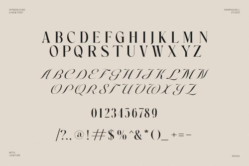 Newton Scient Calligraphy Serif Font Font Typeface