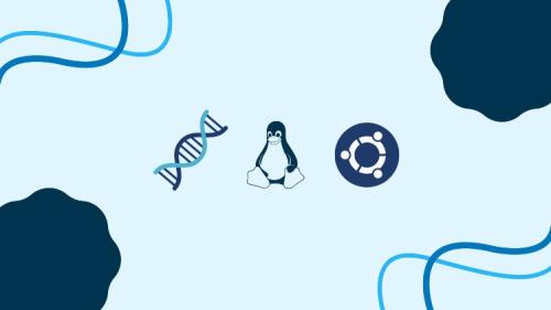 Udemy - Linux Mastery for Bioinformatics: Master Linux in 7+ Hours