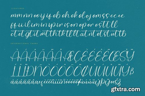 Delight Splash Modern Handwritten Font 4LB8JUW