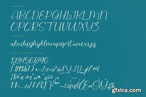 Delight Splash Modern Handwritten Font 4LB8JUW