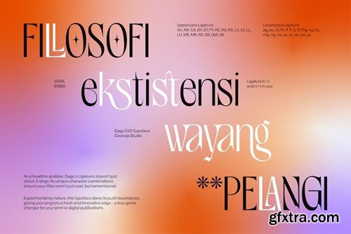 Gage EXO - Elegant Fashion Experimental Gen Z Font VLMNB5N