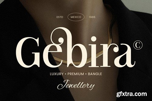 Branck - Modern Luxury Logo Font 5TNLY3Q