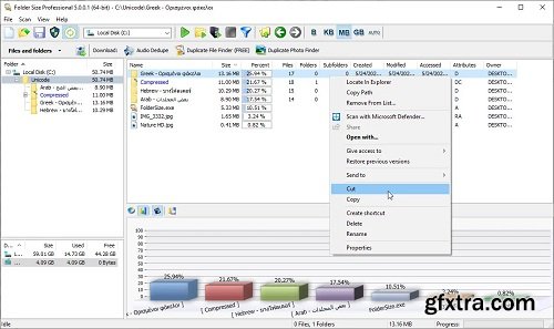 MindGems Folder Size Professional 5.4.0.1