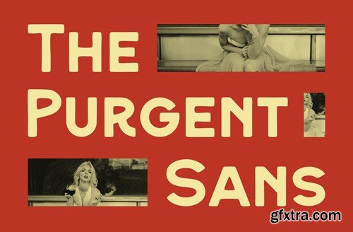 Purgent - Classic Sans Serif Font QZA7FPV