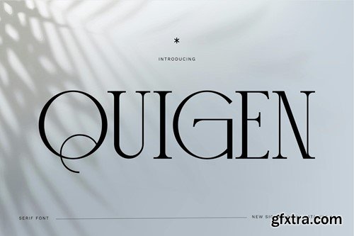 Quigen Sans Serif Font VSX2DTD