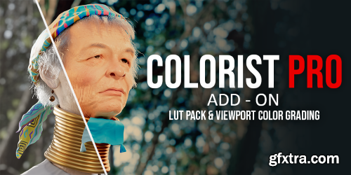 Colorist Pro - Luts & Viewport Color Grading