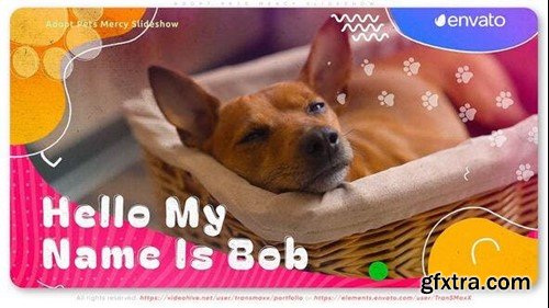 Videohive Adopt Pets Mercy Slideshow 53448521