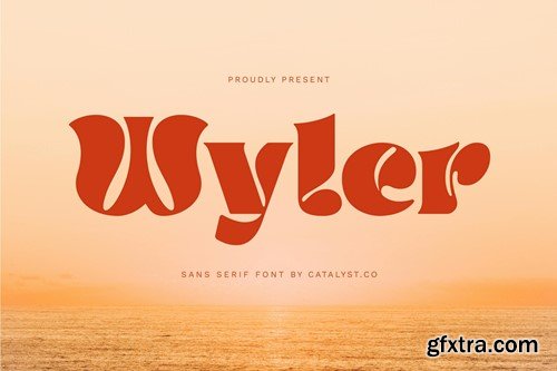 Wyler Sans Serif Font MLUZD3X