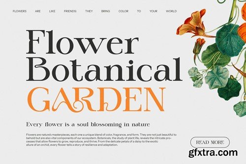 Kemri Elegant Ligature Serif Typeface FU5JUSB