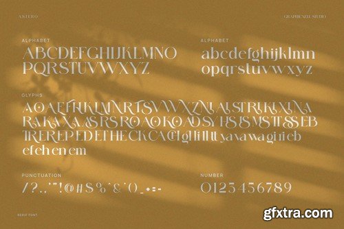 Astero Elegant Ligature Serif Typeface X7EXHGP