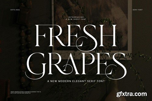 Fresh Grapes Modern Serif Font XUESH2L