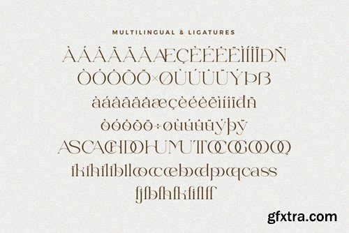 Beikho - Beautiful Ligature Font 4FKAD7Q