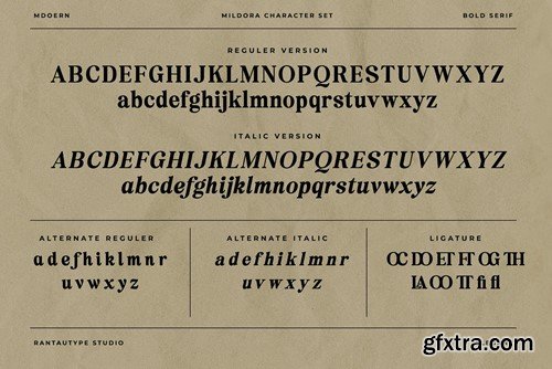 Mildora Modern Bold Serif Font 99PKTFE