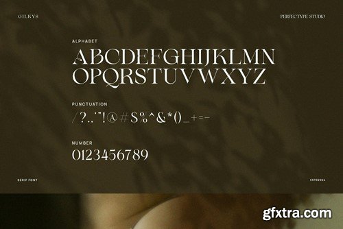 Gilkys Elegant Serif Font Typeface WZB9B7C