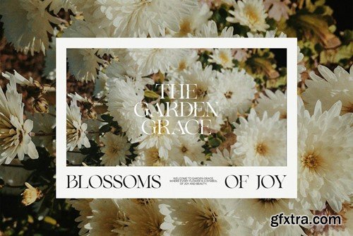 Gilkys Elegant Serif Font Typeface WZB9B7C