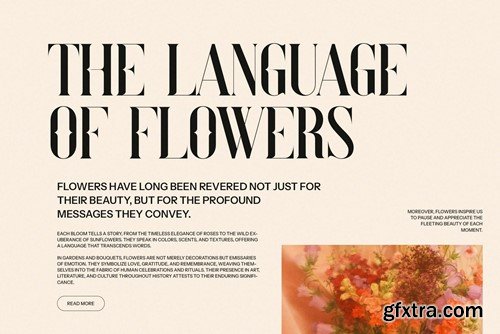 Risters Elegant Vintage Serif Font Typeface G5X3VAV