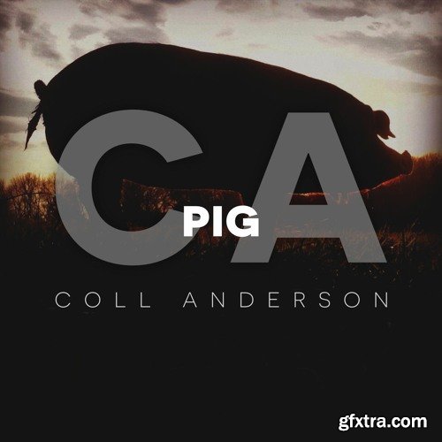 C.A. Sound Inc Pig