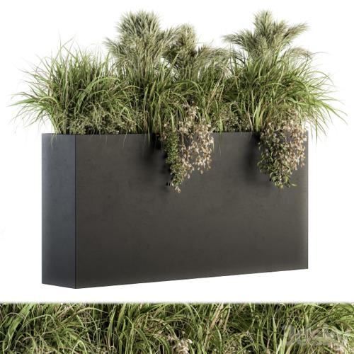 Outdoor Plants tree in Plant box - Set 124