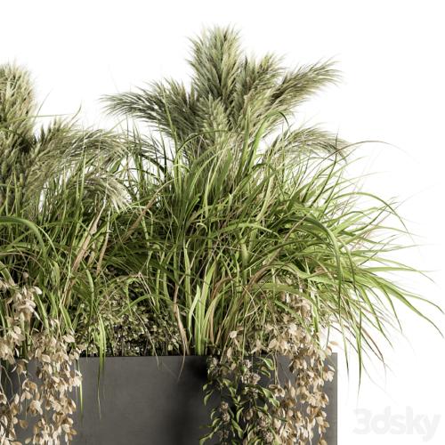 Outdoor Plants tree in Plant box - Set 124